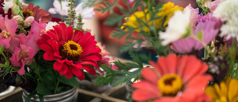 2014年S/S “花柄/フラワーモチーフ”