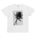 urday【Eryngium】フォトTシャツ（4717123）ホワイト/urday（マミアン）