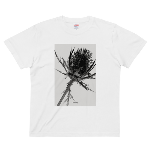 urday【Eryngium】フォトTシャツ（4717123）ホワイト/urday（マミアン）