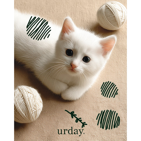 予約：urday【cat】アートワークスウェットプルパーカ（u-a-spk-0001-03）ホワイト