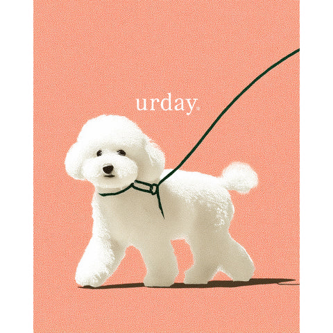 予約：urday【dog】アートワークスウェットシャツ（u-a-sw-0001-09）ホワイト